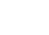 Logo Volkswagen Group Services