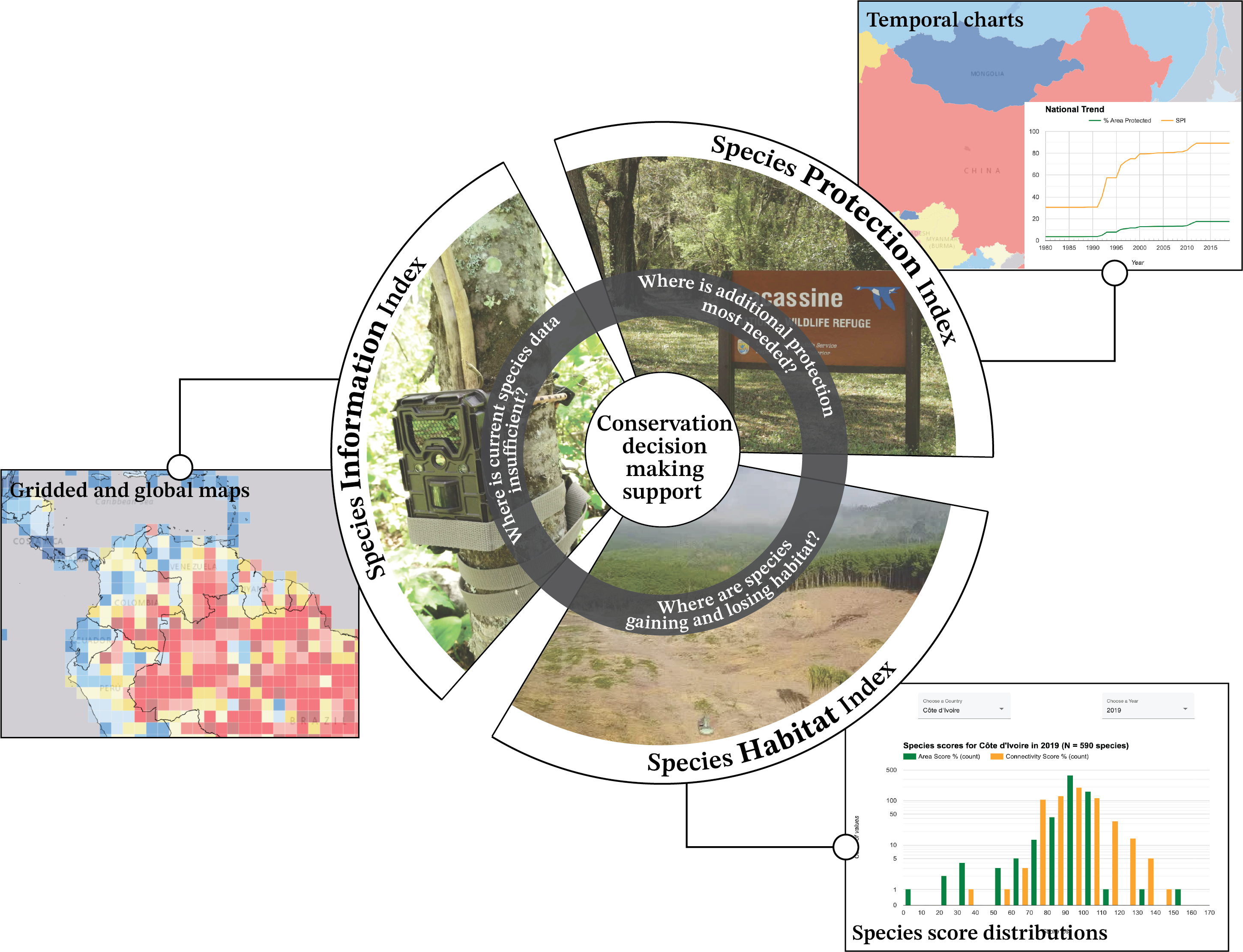 A figure depicting the three biodiversity indicators. In the center of the figure is a circle broken into three sections: one with the heading "Species Information Index" accompanied by a photo of a camera trap attached to a tree trunk and text reading "Where is current species data insufficient?", one with the heading "Species Protection Index" accompanied by a photo of a wildlife refuge sign and text reading "Where is additional protection most needed?", and one with the heading "Species Habitat Index" accompanied by a photo of a recently deforested area and text reading "Where are species gaining and losing habitat?". The center of the contains text reading "Conservation decision making support".
