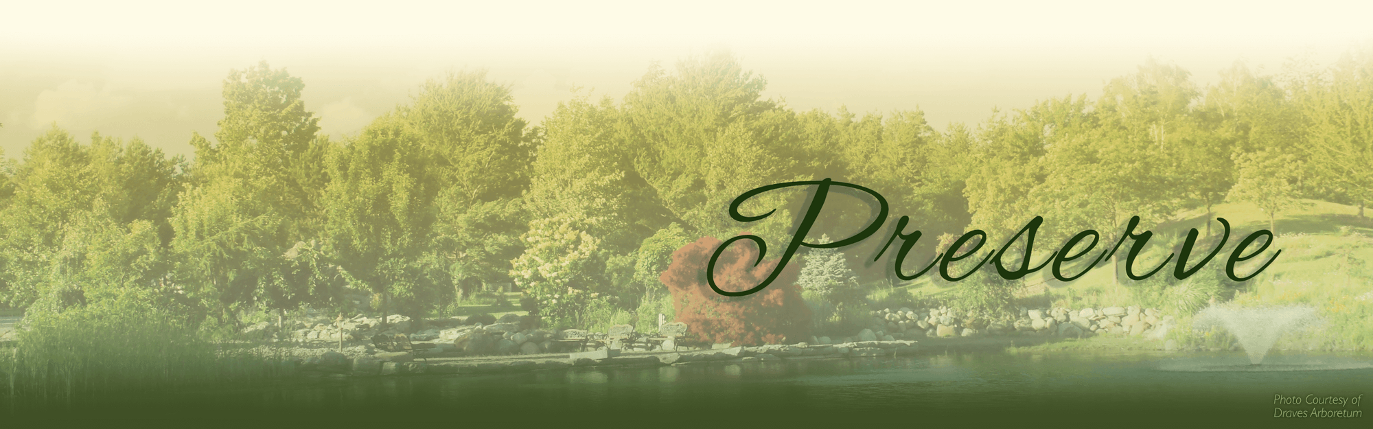 Town of Darien Zoning code enforcement