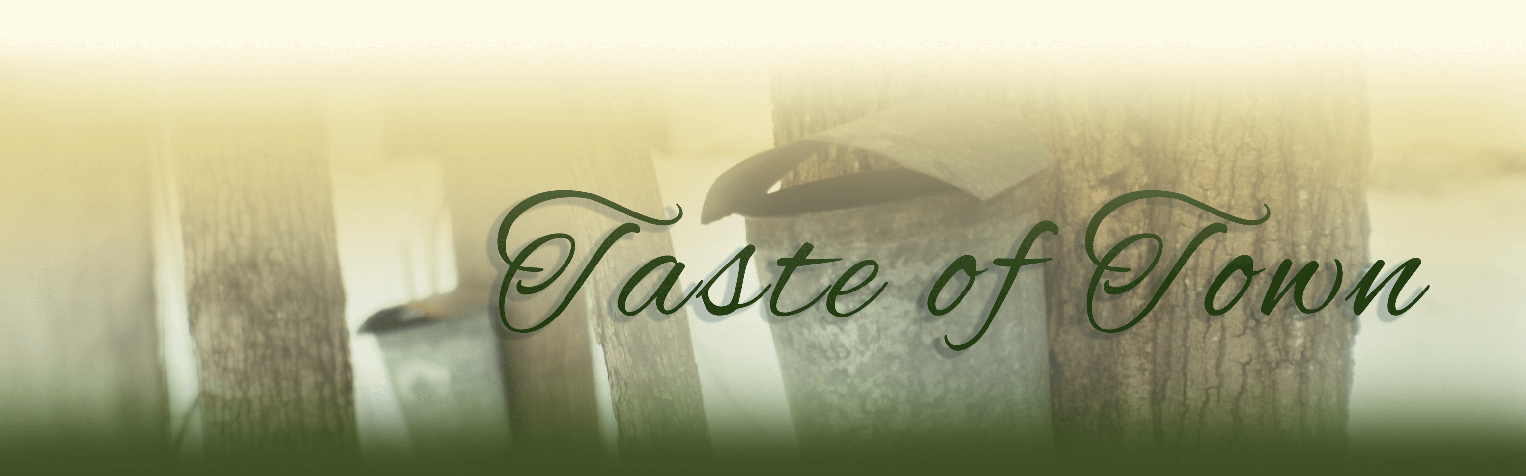 Town of Darien Zoning code enforcement