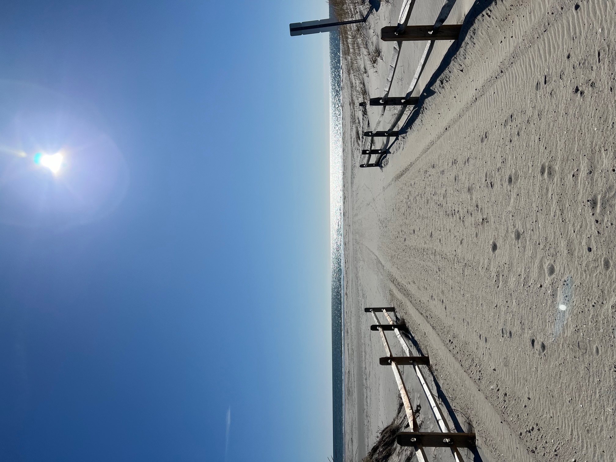 Your Pass to Summer 2024 Avalon's Beach Guide