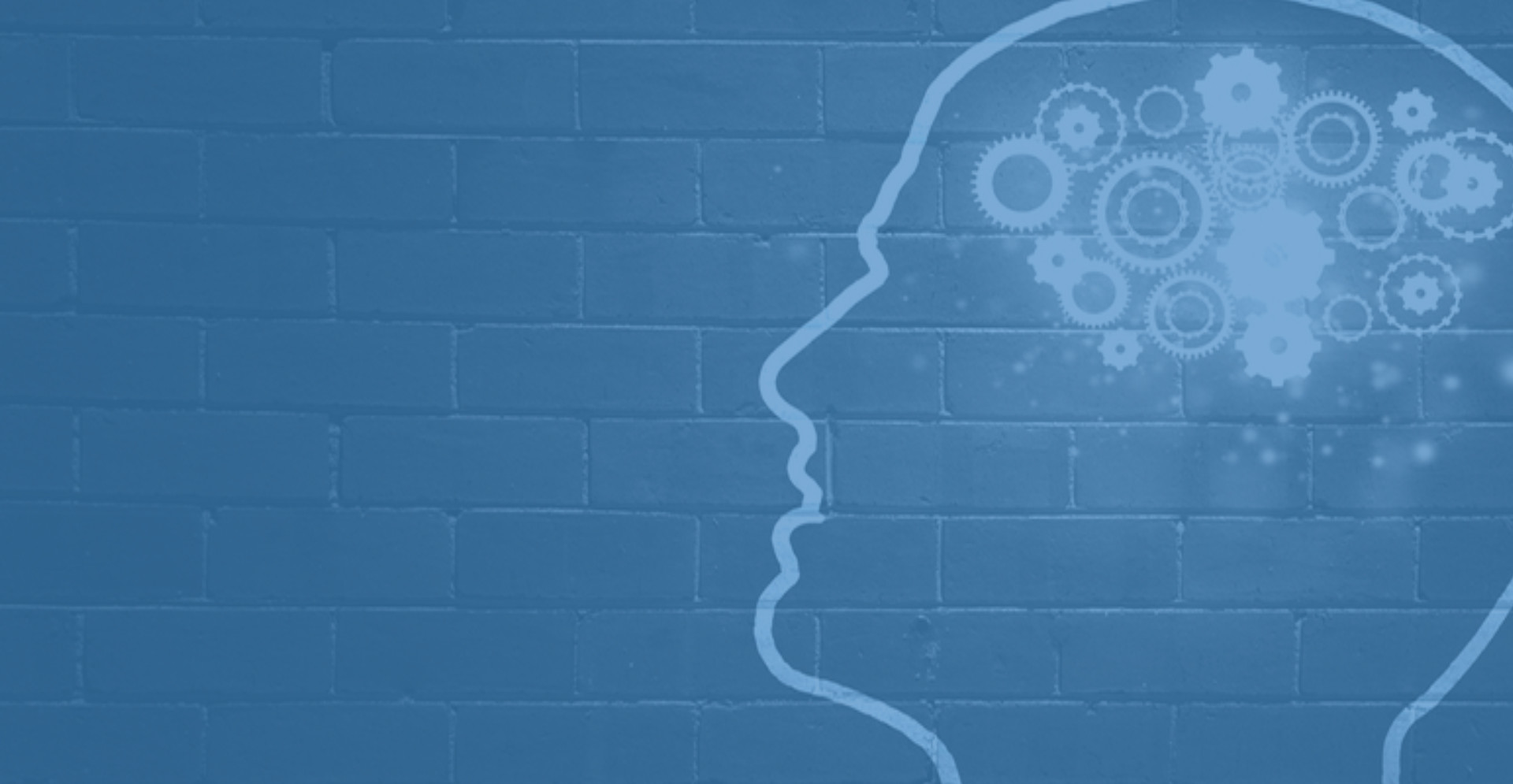 The Coaching Process