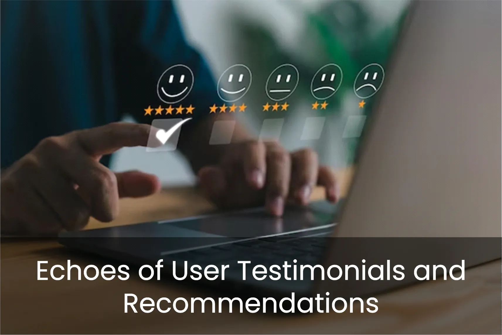 Echoes of User Testimonials and Recommendations