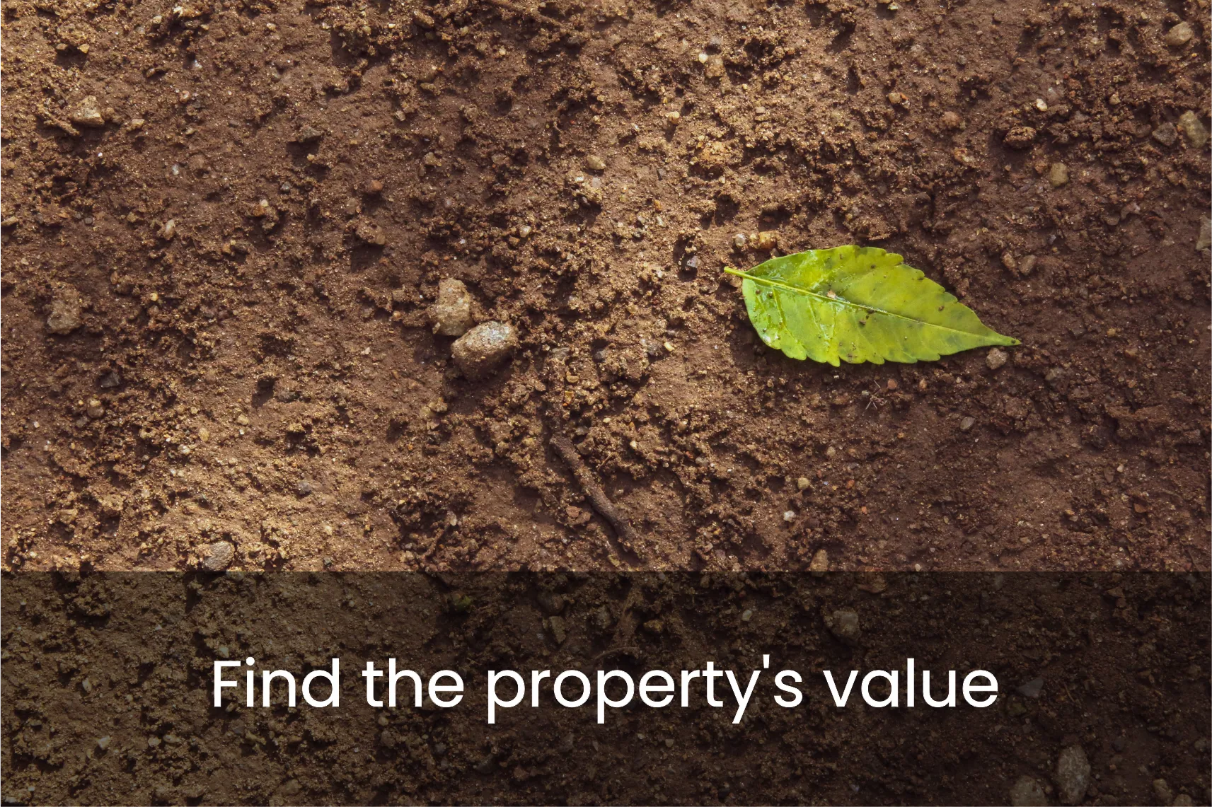 Find the property's value