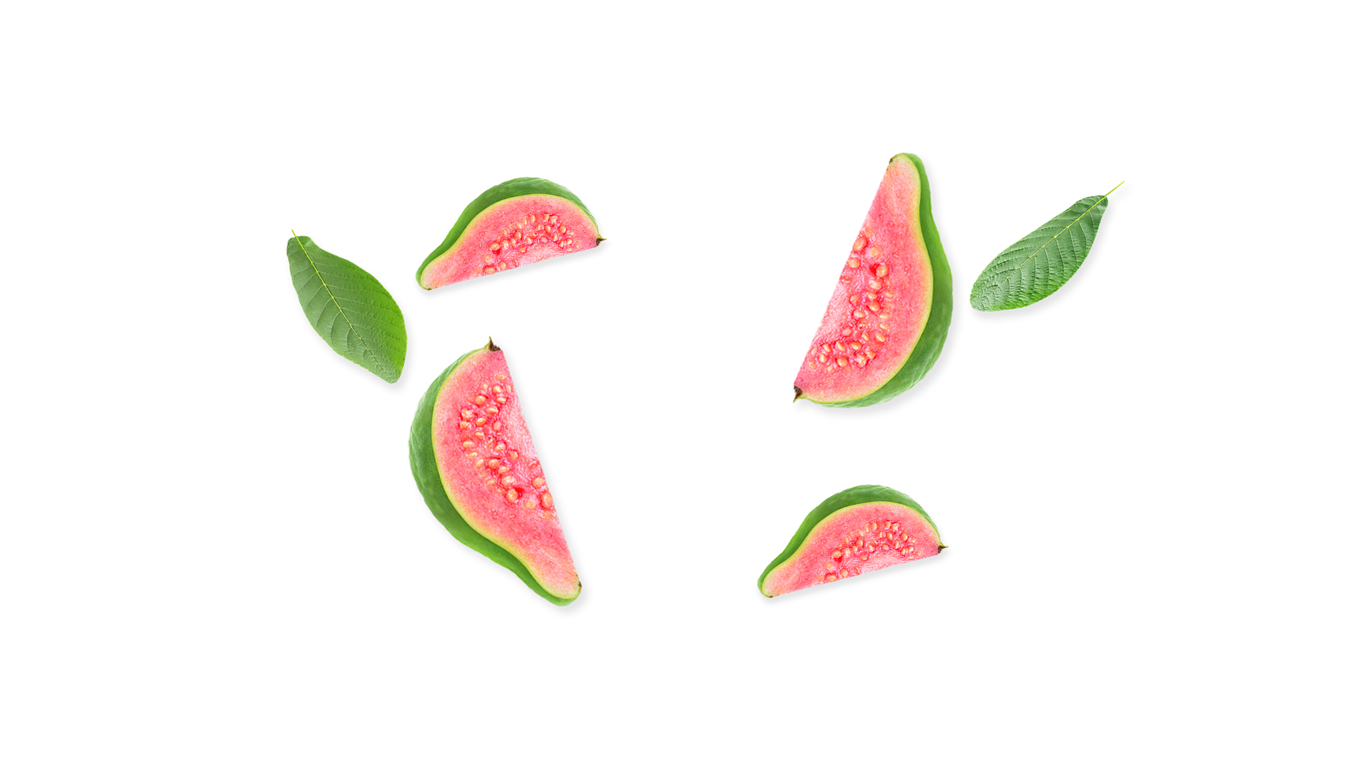 Grapey Grape. Infused Pre-rolls. General Admission Cannabis.