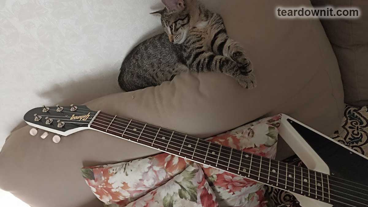 The undeservedly Classic Tube Оverdrive DOD FX53 guitar