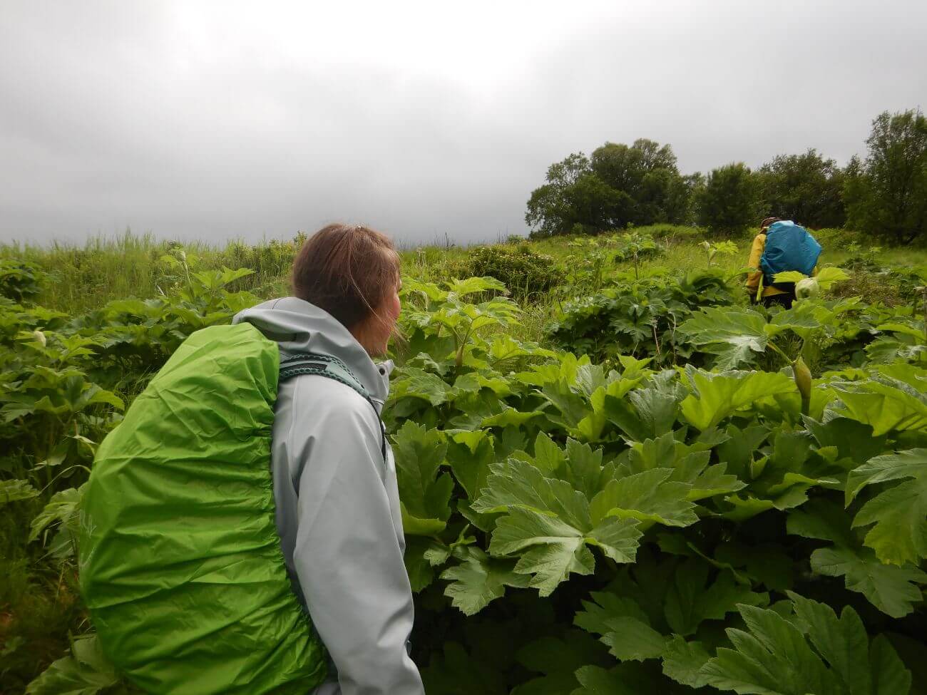 Kodiak Soil and Water Conservation District
