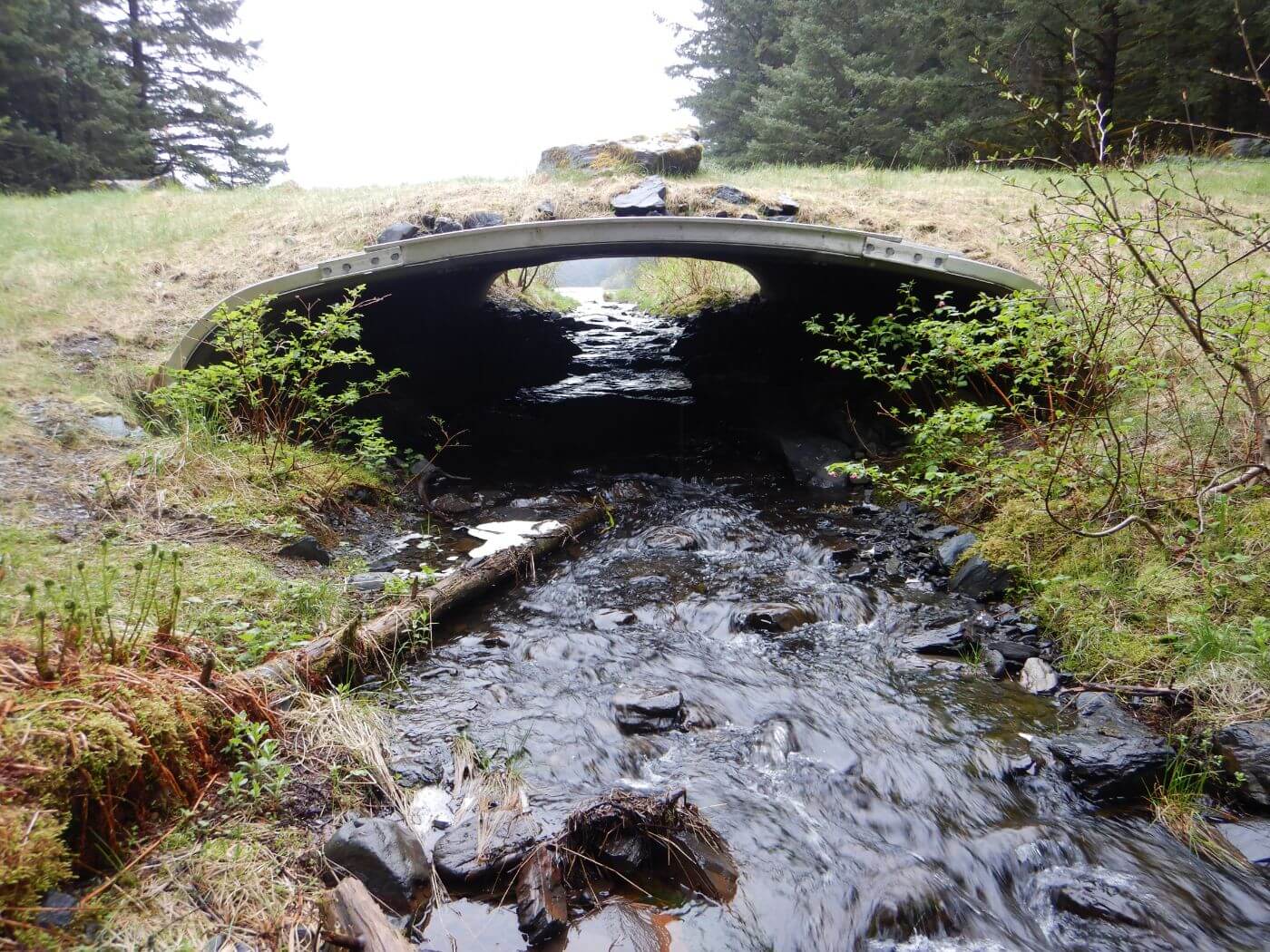 Fish Passage Kodiak Soil and Water Conservation District