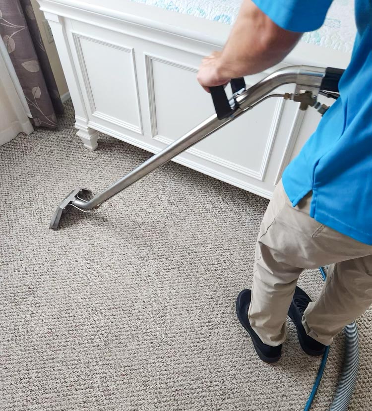 About Professional Cleaning Services Venice Best Carpet Cleaners Nokomis