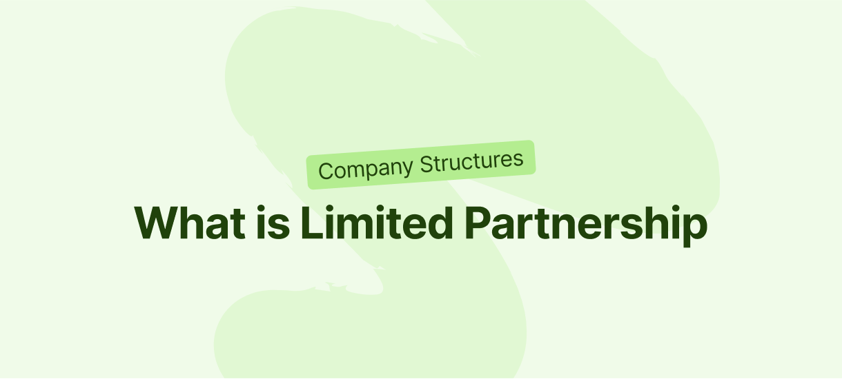 What is Limited Partnership