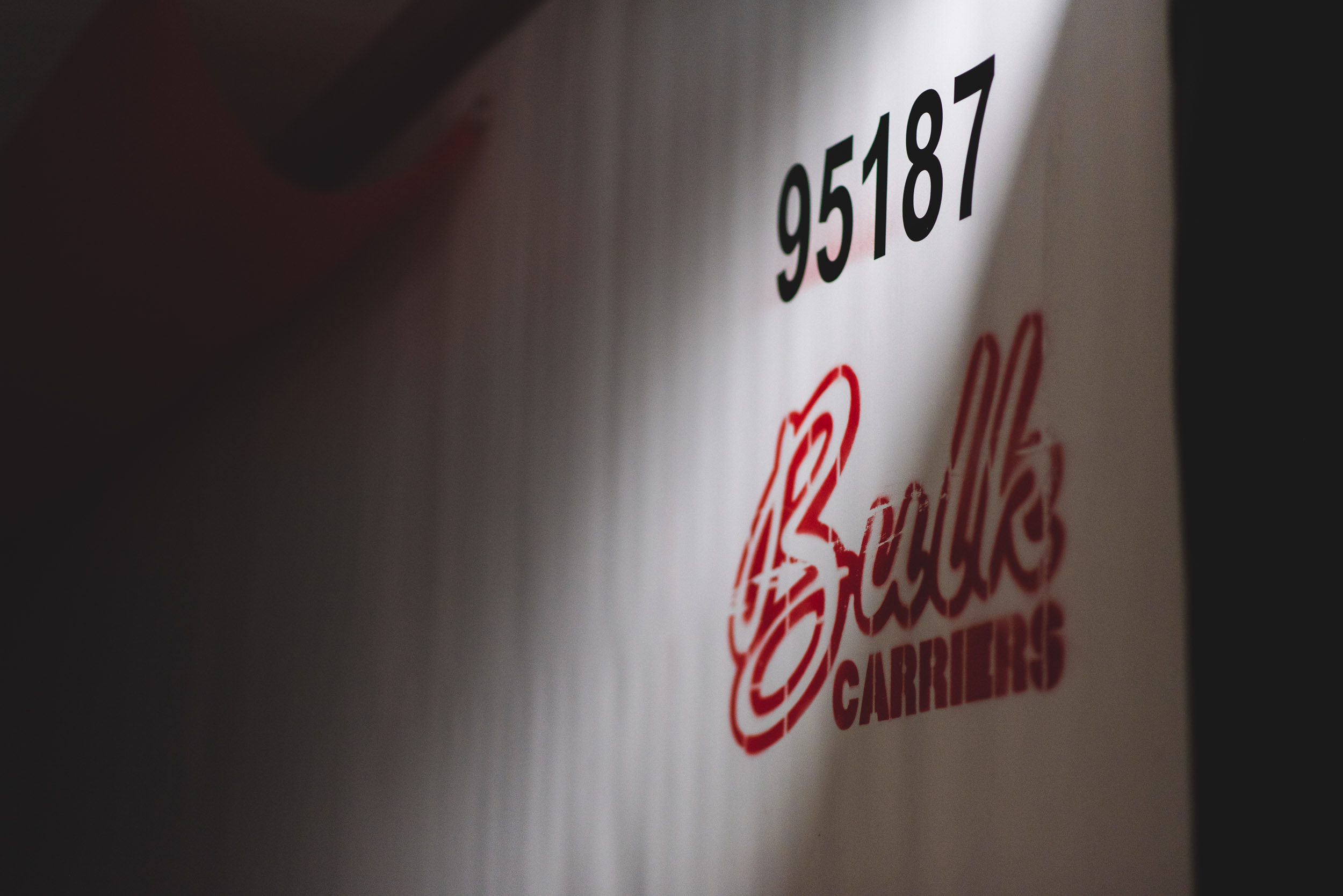 Services Bulk Carriers… Anticipating the Road Ahead..