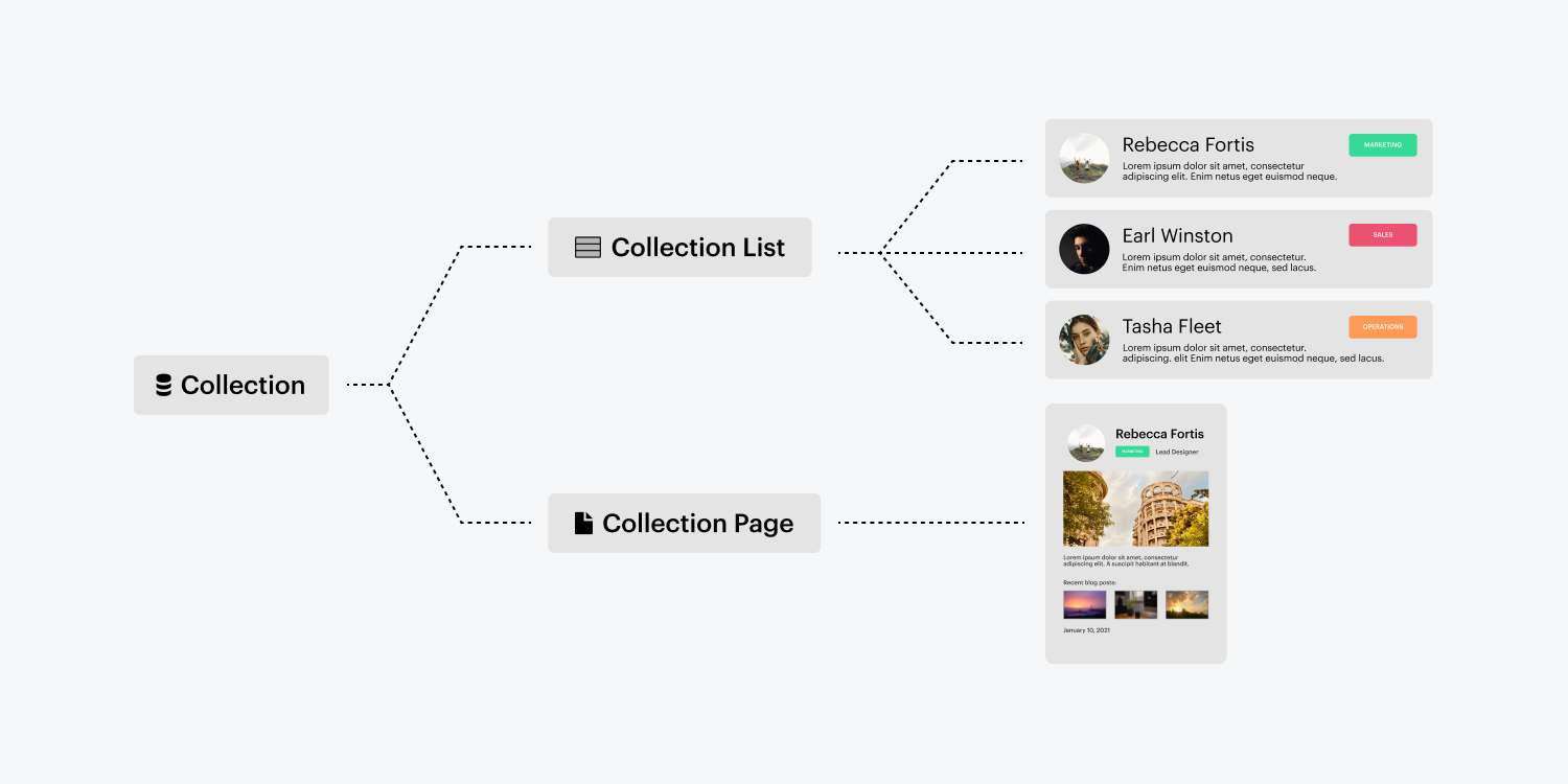 A diagram displays a dotted line connection from a Collection to both a Collection list and a Collection page. The Collection list branches off to three profile tab previews. The collection page branches off to a single profile card.