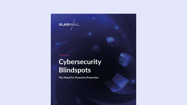 Cybersecurity Blindspots