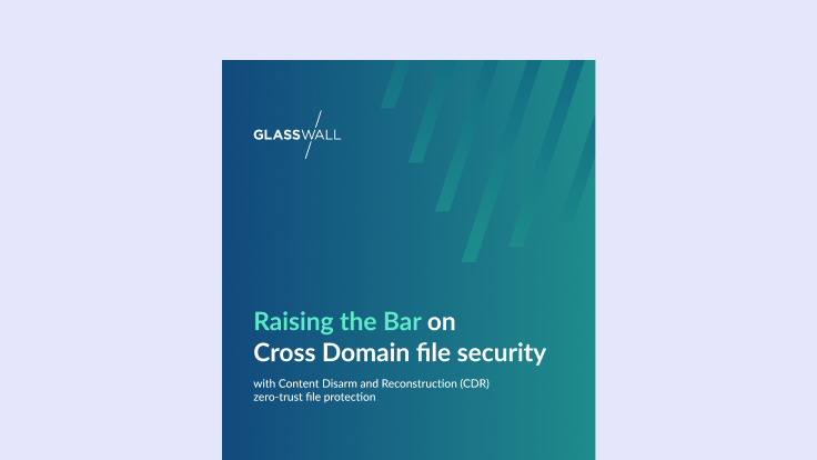 Raising the Bar on Cross Domain file security