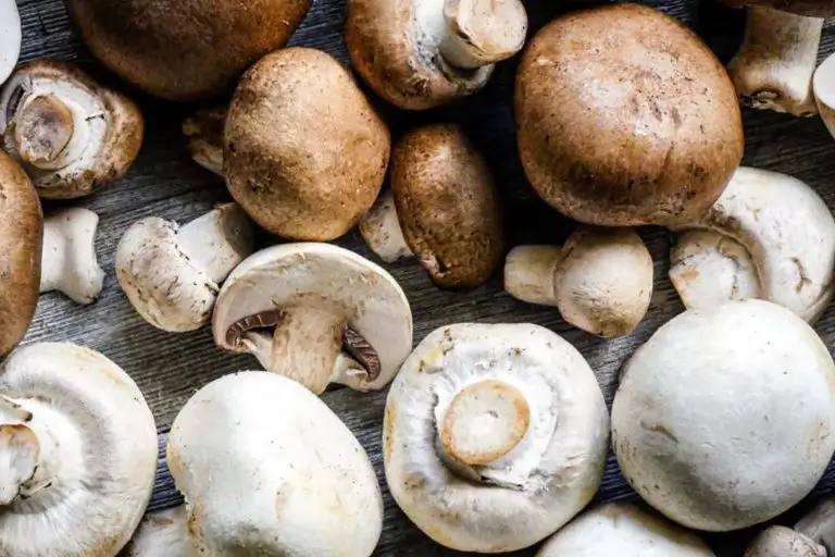 Button Mushrooms A Comprehensive Guide