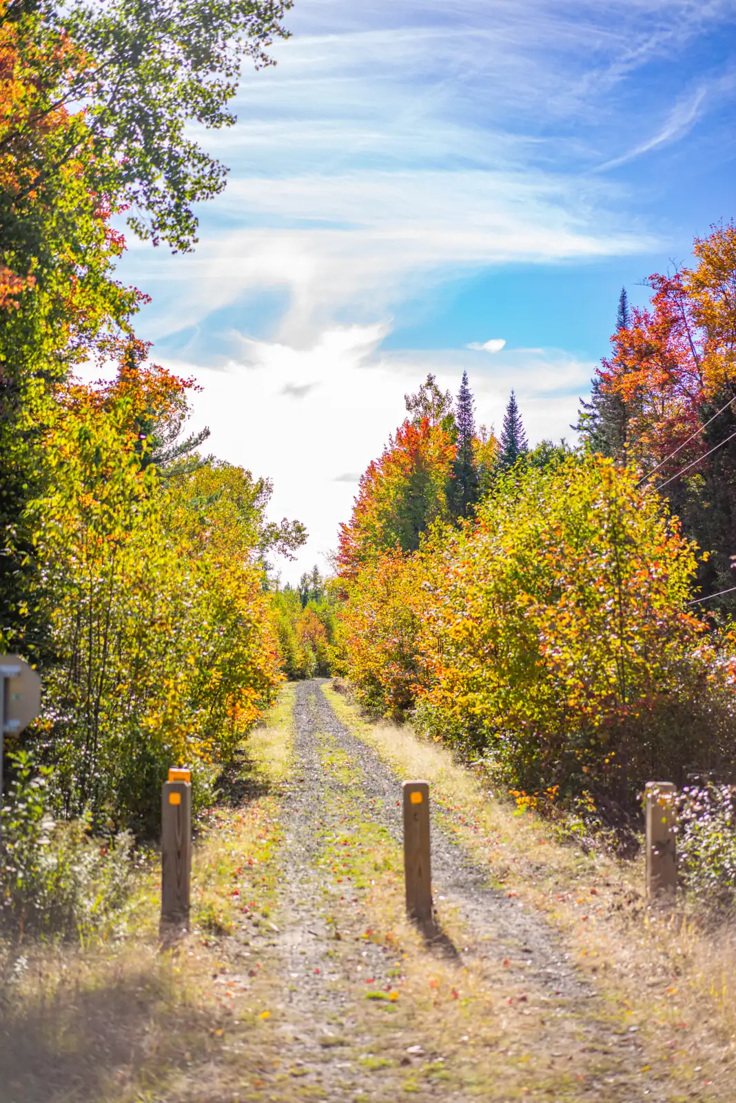 The Adirondack Rail Trail during the fall with colorful leaves.