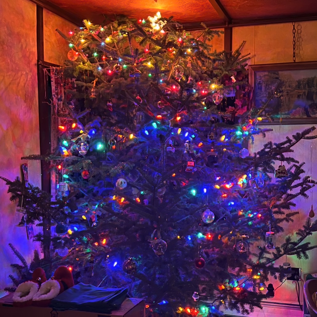 Wishing everyone a very Merry Christmas!

- The Hohmeyer Family