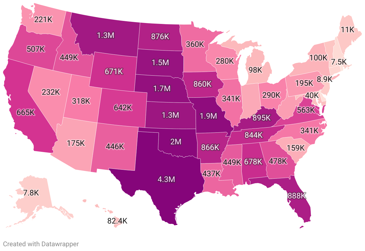 beef-production-by-state-2024