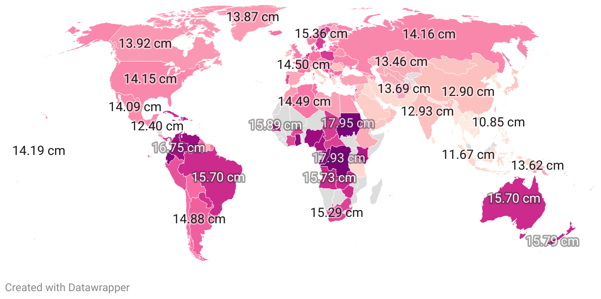 Penis Size By Country 2024