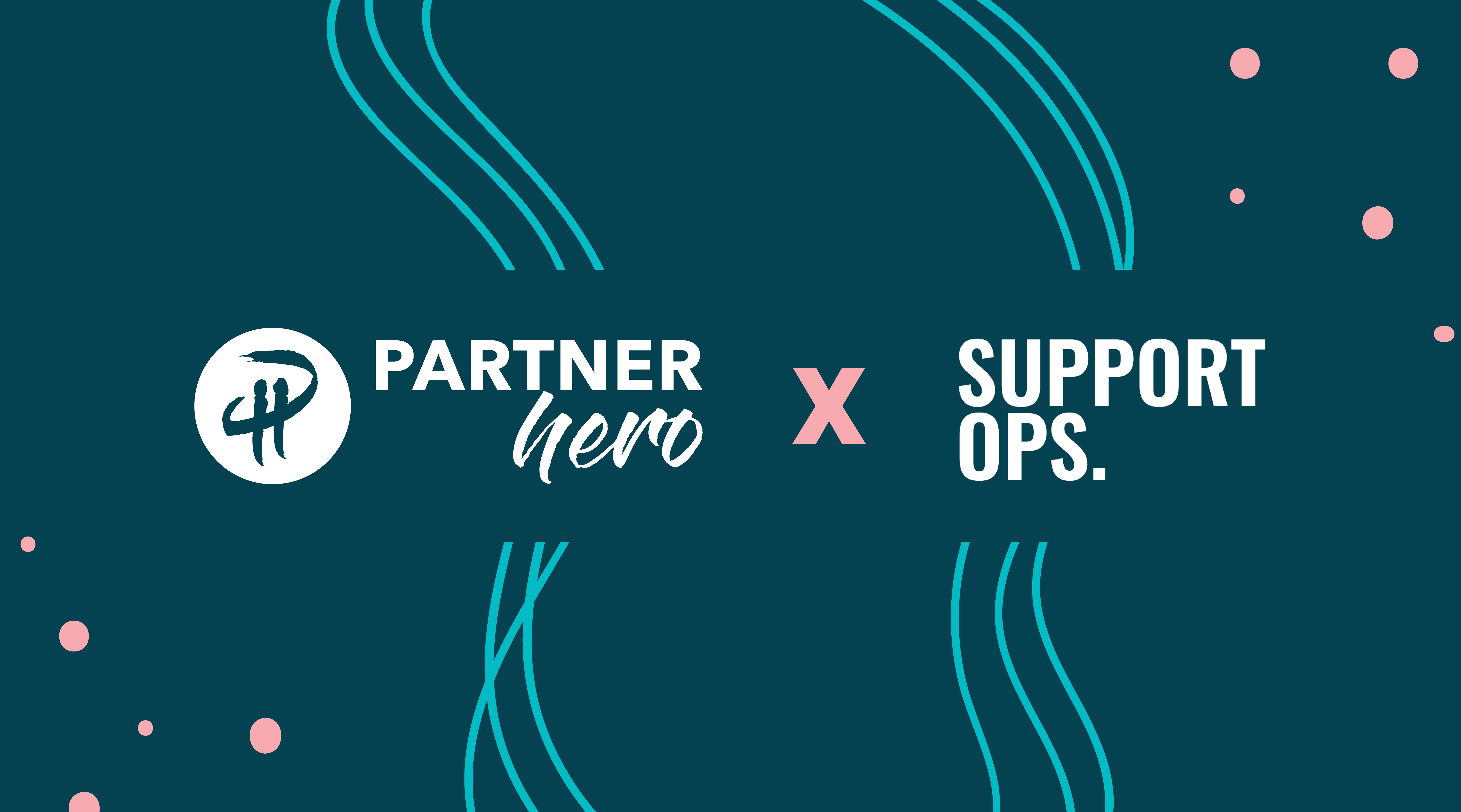 The reason why we acquired SupportOps