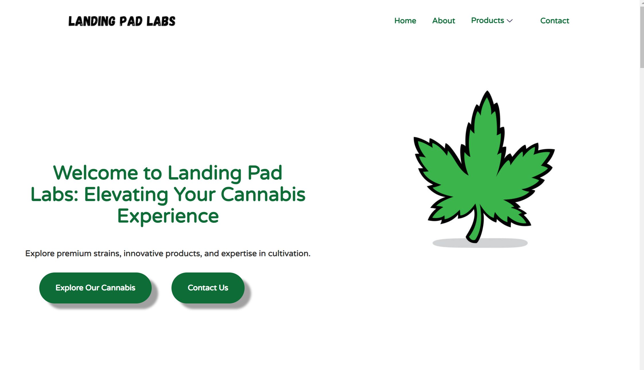 Landing Pad Labs  Design by Flow Forward Media