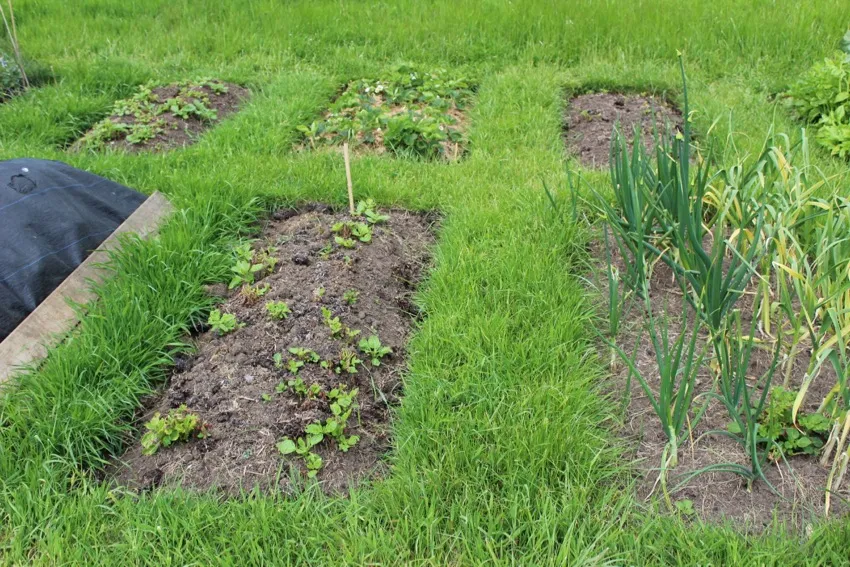 22. Poor use of space with grassy paths and narrow beds