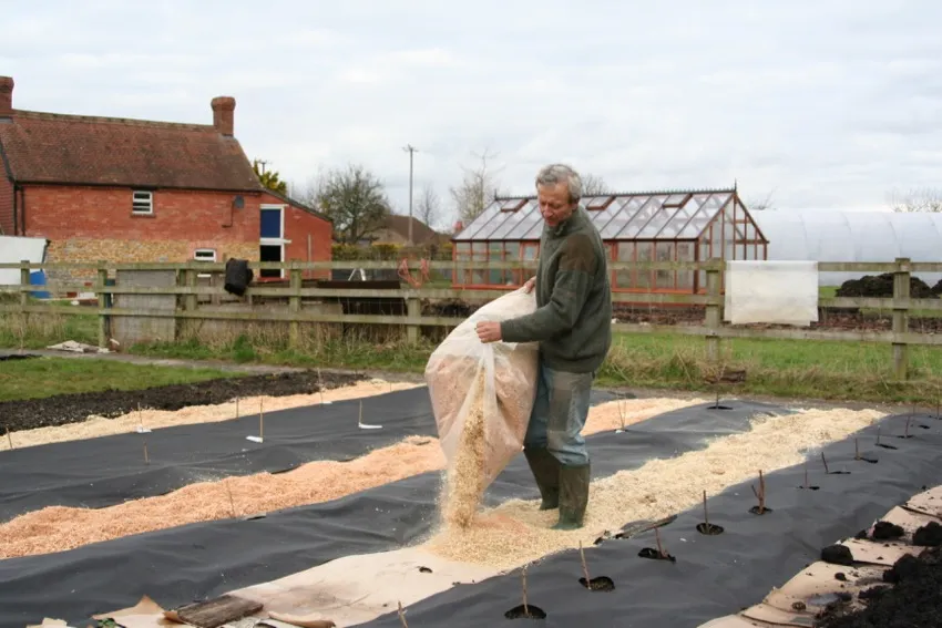 13. Spreading wood shavings on old cardboard