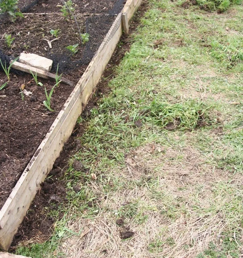 1. March 2013: new path alongside an existing bed, which has a wooden side