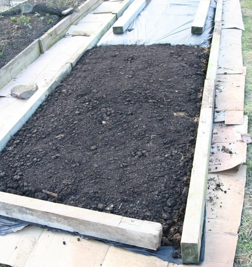 3. New bed made with 15cm compost, and with its paths all carded