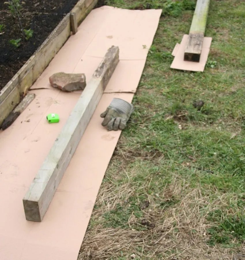 2. Pasture weeds covered with thick cardboard