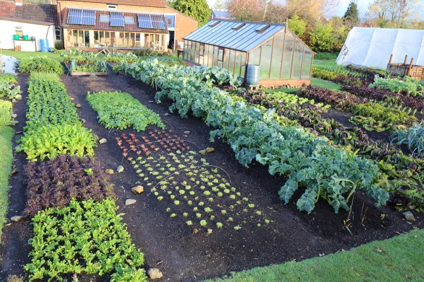 12. Weed free garden November: edges mown and cut every 3 to 8 weeks depending on weather. Nettles and tormentil on the boundary between membrane and a heap of compost