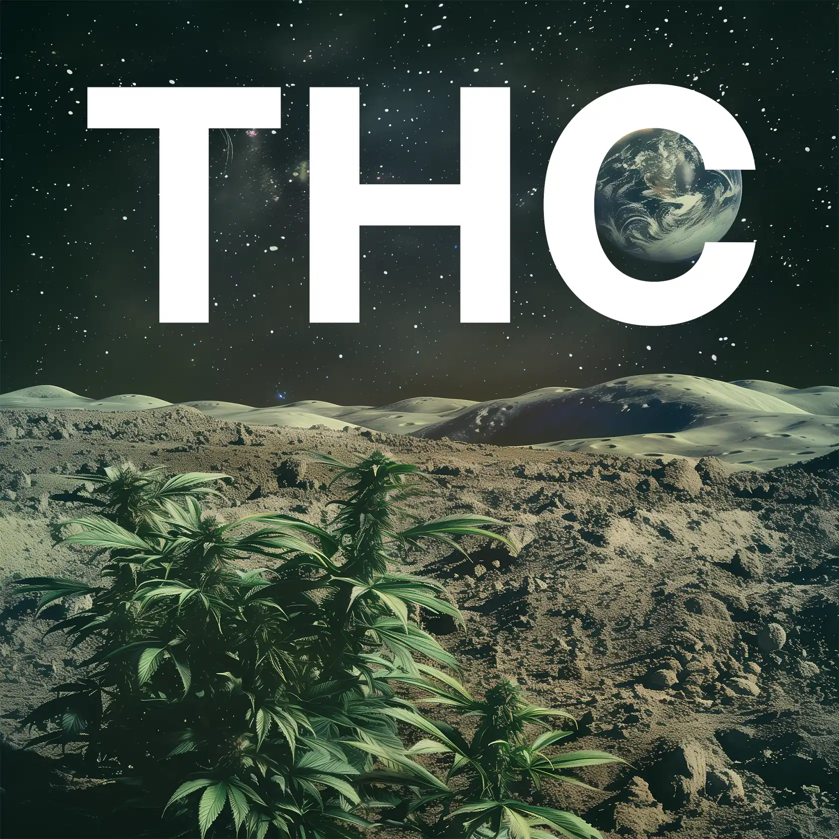 THC legal online kaufen | Vapes, Joints, Blüten, Hasch | Hanfify