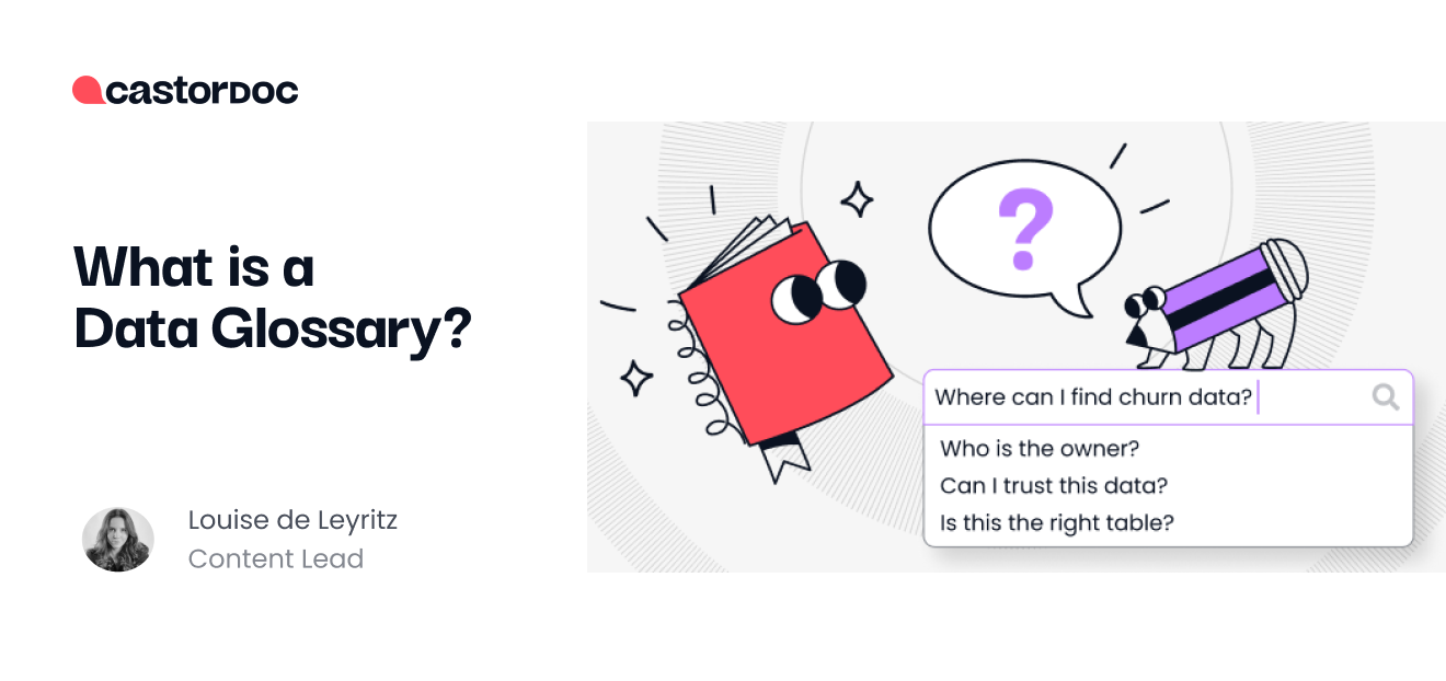 What is a Data Glossary? CastorDoc Blog