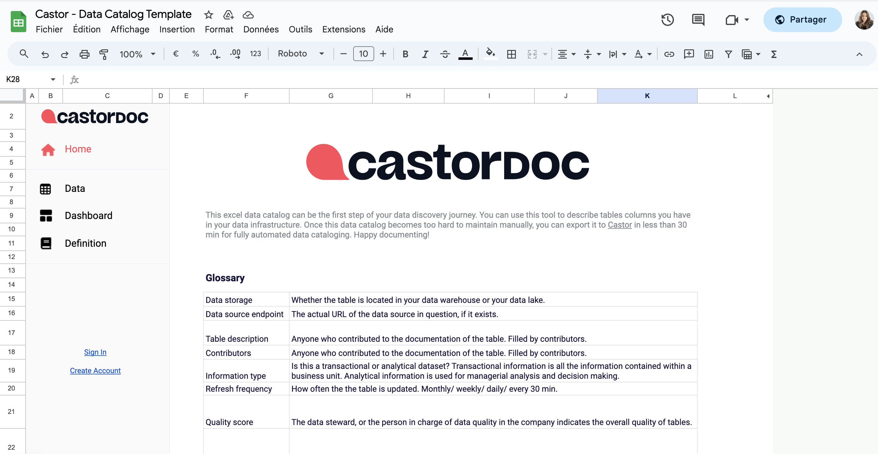 What is a Data Dictionary? - CastorDoc Blog