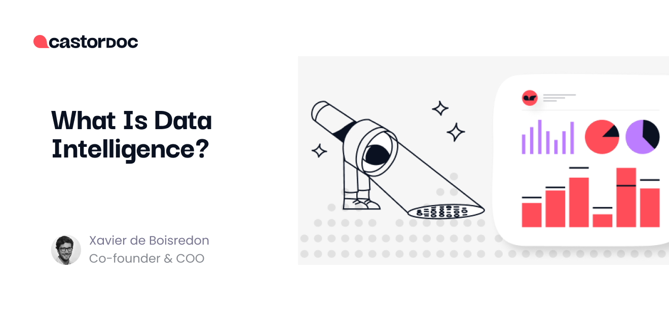 What Is Data Intelligence? - CastorDoc Blog