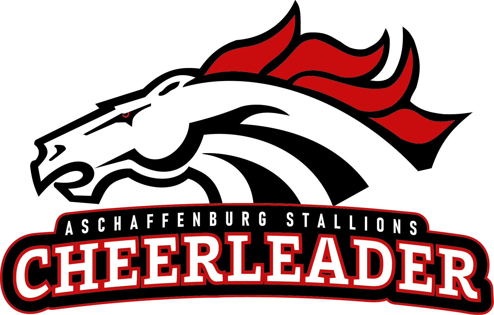 Aschaffenburg Stallions Football Cheerleading