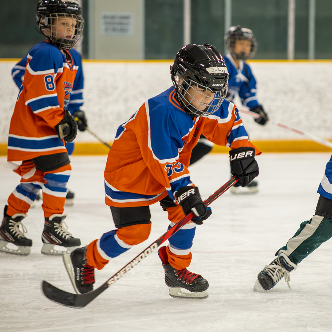 East Lansing Ice Cube Hockey