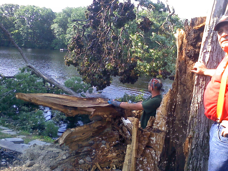 Emergency Storm Damage Cleanup Williamstown NJ | Forrest Tree Surgeon
