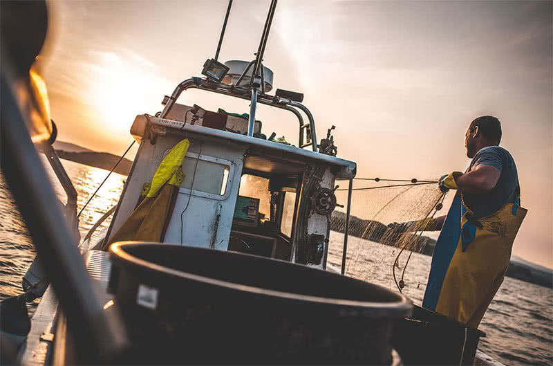 Découvrir les métiers de MarinPêcheur et Mareyeur — free download