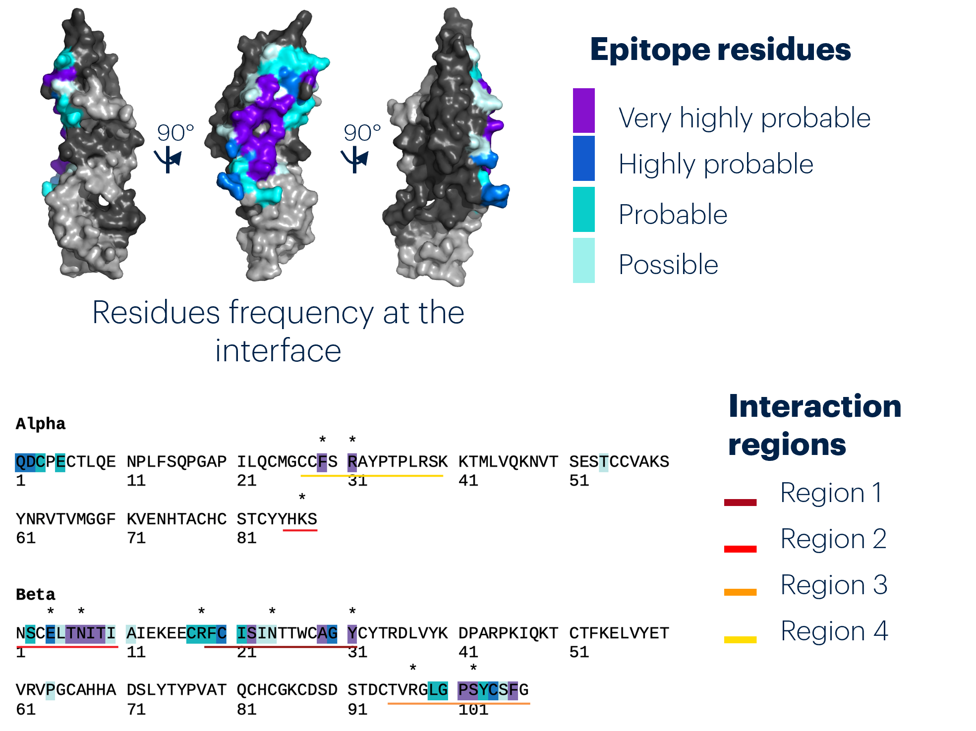 epitope-mapping-of-an-anti-fsh-antibody