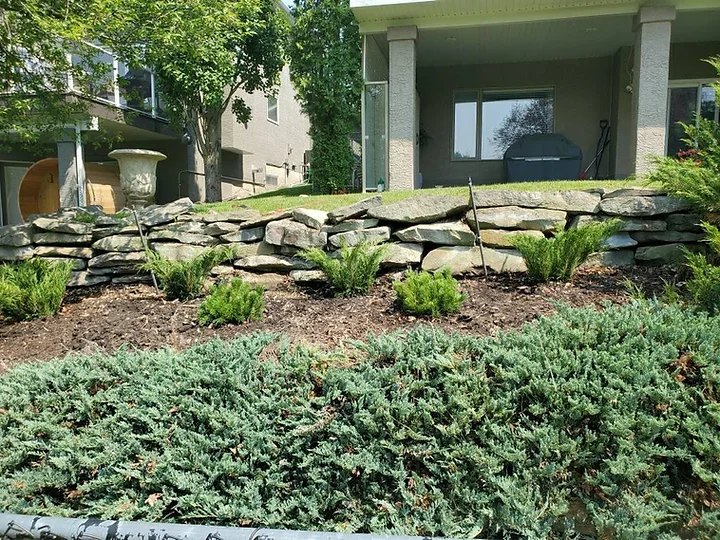 The Ultimate Guide to Successful Tree Planting in Calgary Stubborn Stumps