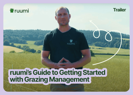 ruumi | Ruumicademy