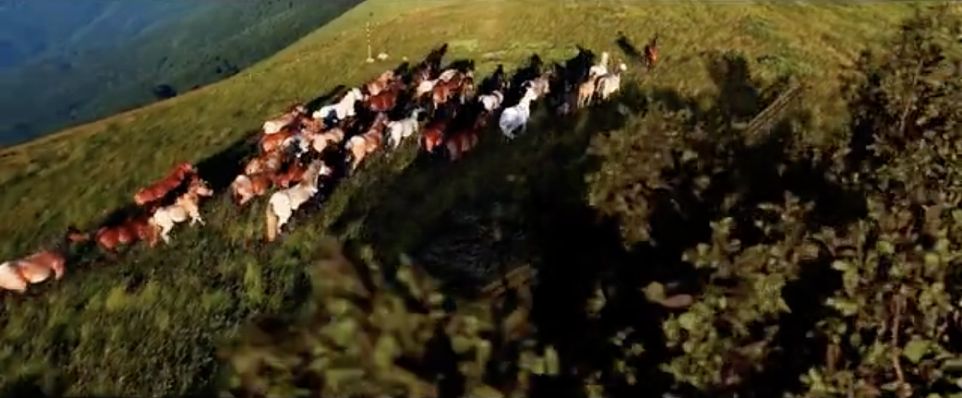 Artists Of Then, Now, And Forever