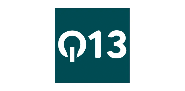 Q13