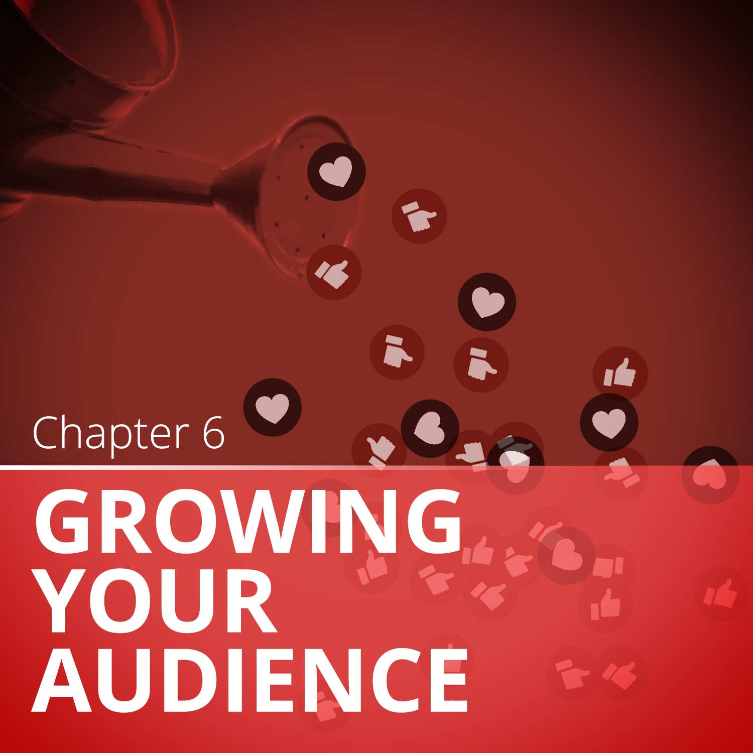 Grow Your Audience: Katierosecoloredglasses' Beacon Guide - tdc0o4o