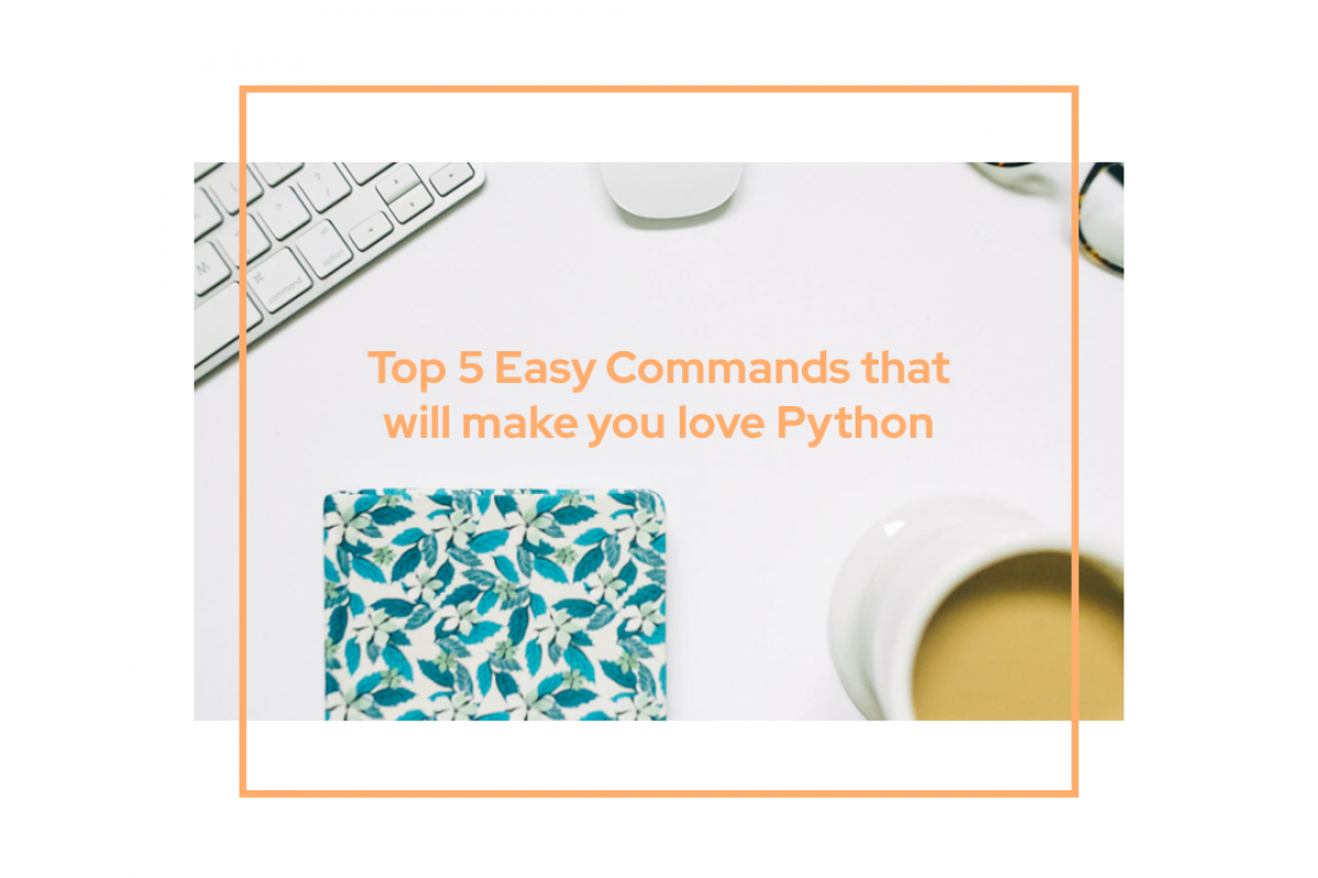 Top 5 Easy Commands For Python Beginners