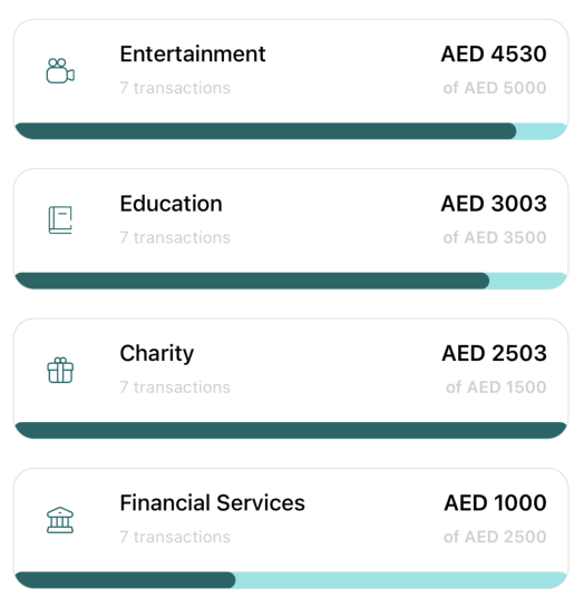 Category Spend List view