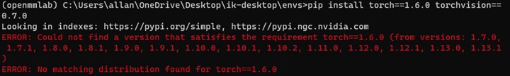 Error message torch installation pip