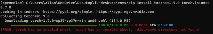 Error message torch installation pip