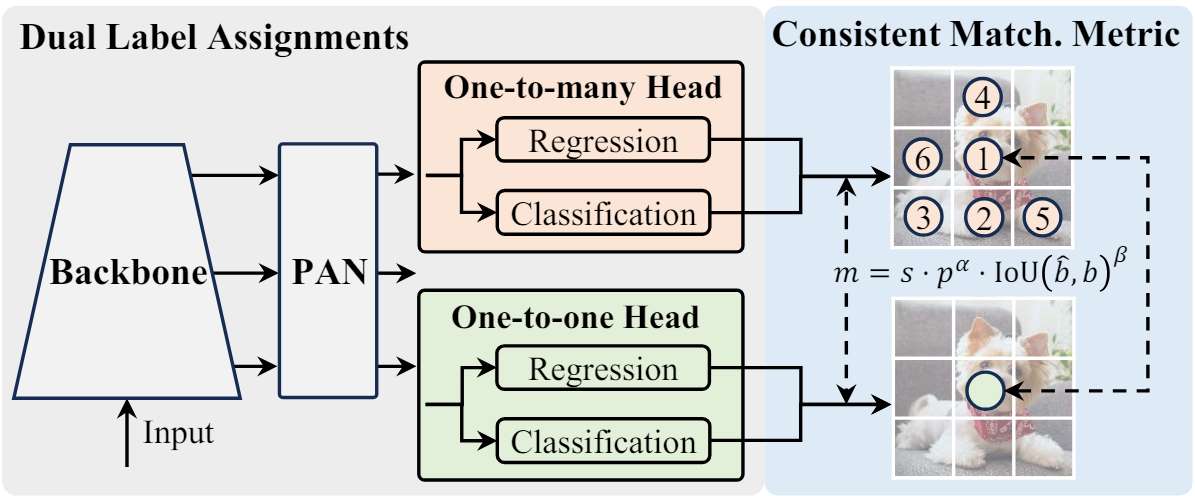 YOLOv10 architecture overview